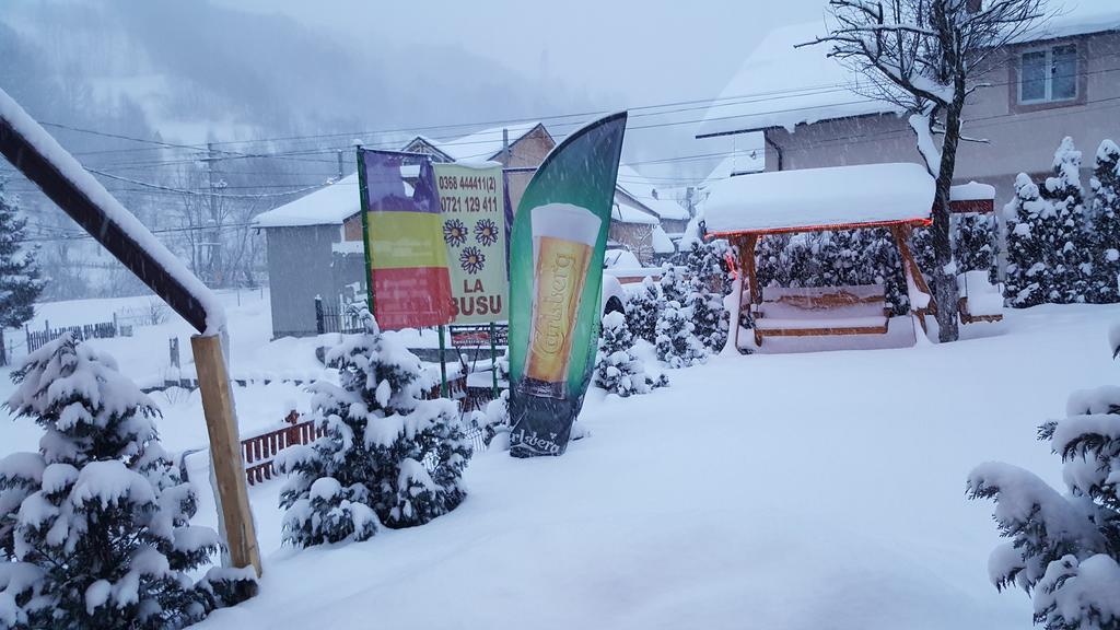 Pensiunea La Busu Bran  Buitenkant foto